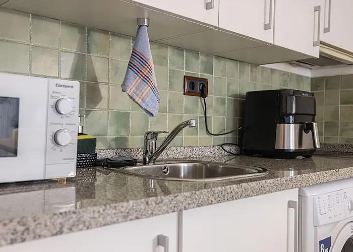 Zenia סיירה נבדה